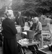 Zurich, woman sells vegetables at farmer's market.