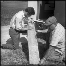 Cousset; search for oil, geological research; 1955.