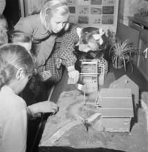 Exhibition in Pestalozzianum Zurich 1950.