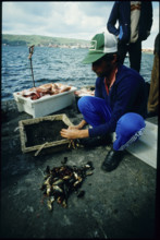 Fisherman with his catching, Azores 1984.