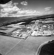 CERN aerial view 1962.