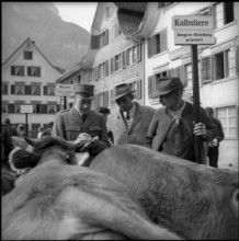 Policeman with farmers at Young cattle exhibition in Glarus 1955.