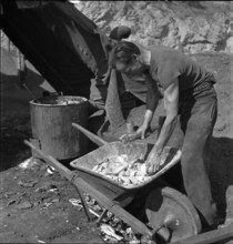 Production of briquettes; 1943.