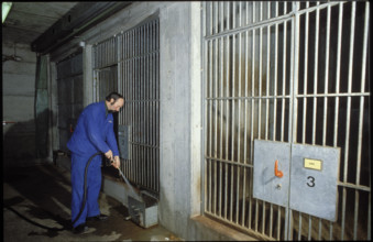 Keeper, maintenace, cleaning a cage.