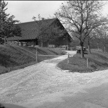 Roadblock due to foot-and-mouth disease in the Freiamt, 1956.