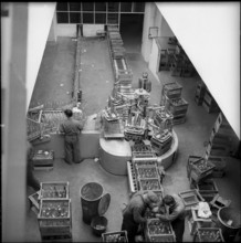 Henniez Lithinee Bottling Plant, 1958.