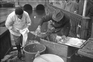 Fishermen in Zurich, 1965.