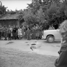 Vines war in Wallis: burning of Wallis flag, 1961.