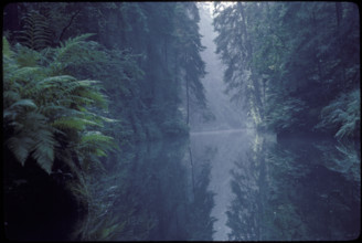 Untouched river 1982.