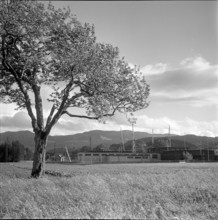 Military facility, Thun 1950.