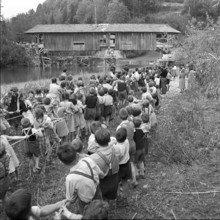 Children helping to displace an old wooden bridge; 1952.