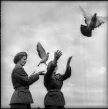 Women soldiers with flying up pigeons, Friborg 1962