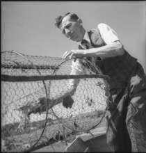 Fisherman with fish trap on the Doubs river 1945