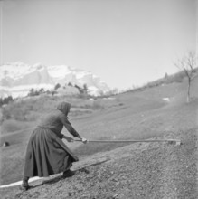 Albinen, woman working in the field; 1941