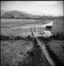 Flooded meadows in Rhine Valley 1949