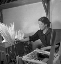 Woman braiding straw around a chair, 1940