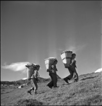Farmer boys with backpack baskets, Bettmeralp 1952