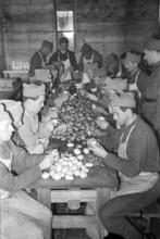 Medical orderly preparing vegetables in military kitchen; 1940