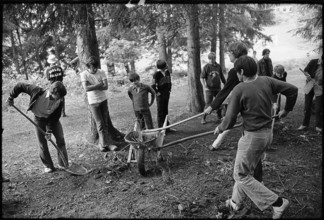 Young people clearing a forest track, 1971
