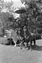 Preparations to Käthchen of Heilbronn, 1972