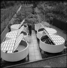 Fish brood institute Ermatingen, pilot plant 1956