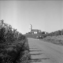 Vineyards and church of Hallau, 1959