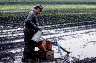 flood area, field under water in Zealand, 1983