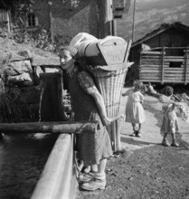 Strawberry Harvest in Valais, 1949