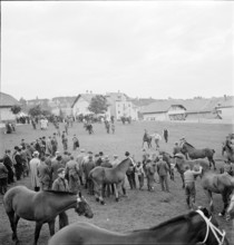 38th Marché Concours Saignelégier, 1941