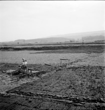 Peat Diggers near Boswil, 1945