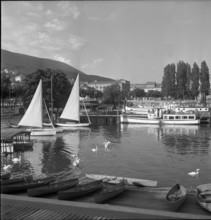 Ships in the Harbor, Neuchâtel 1950