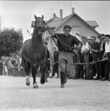 62nd Marché-Concours Saignelégier, presentation, 1965