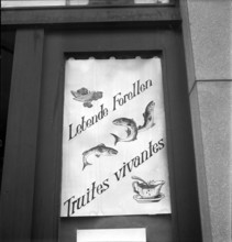 bee; fishmonger advertising living trouts; 1941