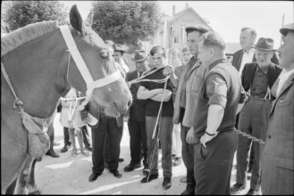 62nd Marché Concours Saignelégier, 1965