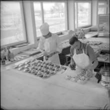 Production of meals, catering at Zurich-Kloten airport 1961