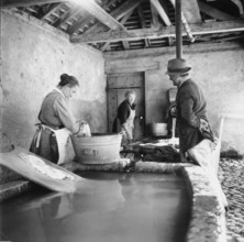 Farmer's wives are washing in the community well
