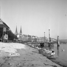 Lucerne, seagulls at lake promenade ; 1953