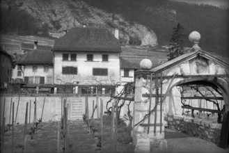 Vineyard house Wingreis in lake-side Twann, 2005