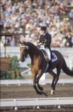 Olympic Games Los Angeles 1984: Christine Stückelberger and Tanzanite