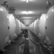 New wine cellars of Rahm company in the Klettgau, 1964