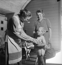 Gathering natural produce for Swiss donation, 1945