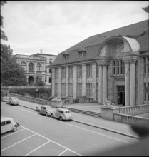 Zoological Museum of the University of Zurich, 1952