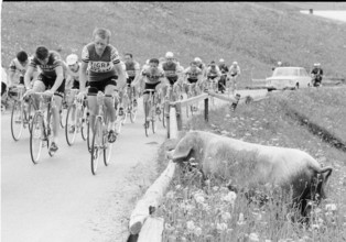 Tour de Suisse 1968: Robert Hagmann