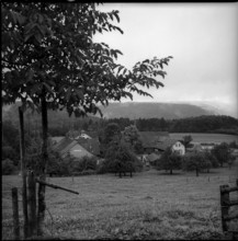 Rossberg near Kemptthal 1958