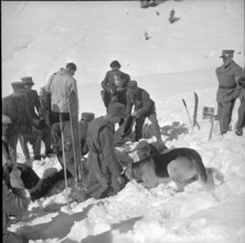 Soldiers at search training with avalanche dogs, Grindelwald 1951