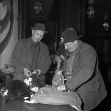 Zurich; hunters offering pelts for sale; 1964