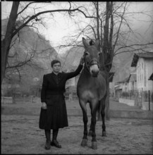 Farmer's wife and mule in Turtmann, 1956