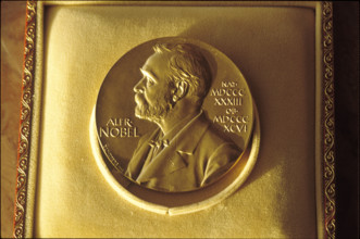 Nobel Prize Medal 1991