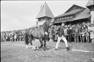 62nd Marché-Concours Saignelégier, presentation, 1965