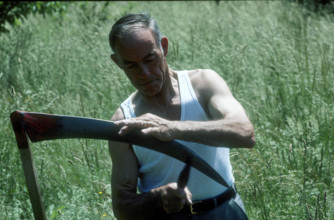 Adolf Brawand, grass mowing
